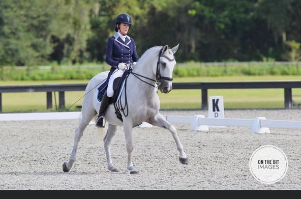 Cavalo treinado por Marquinho Vilela em prova de adestramento nos EUA
