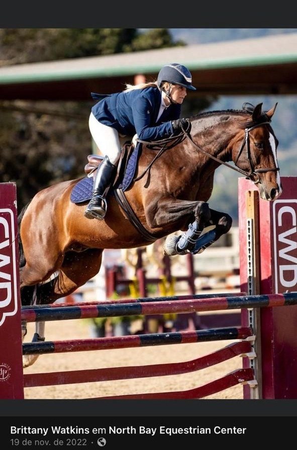 Cavalo formado pelo método saltando em North Bay Equestrian Center